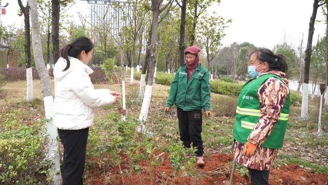 江華城市園林綠化服務(wù)中心：補(bǔ)植補(bǔ)種為城市“增綠添彩”:園林綠化
