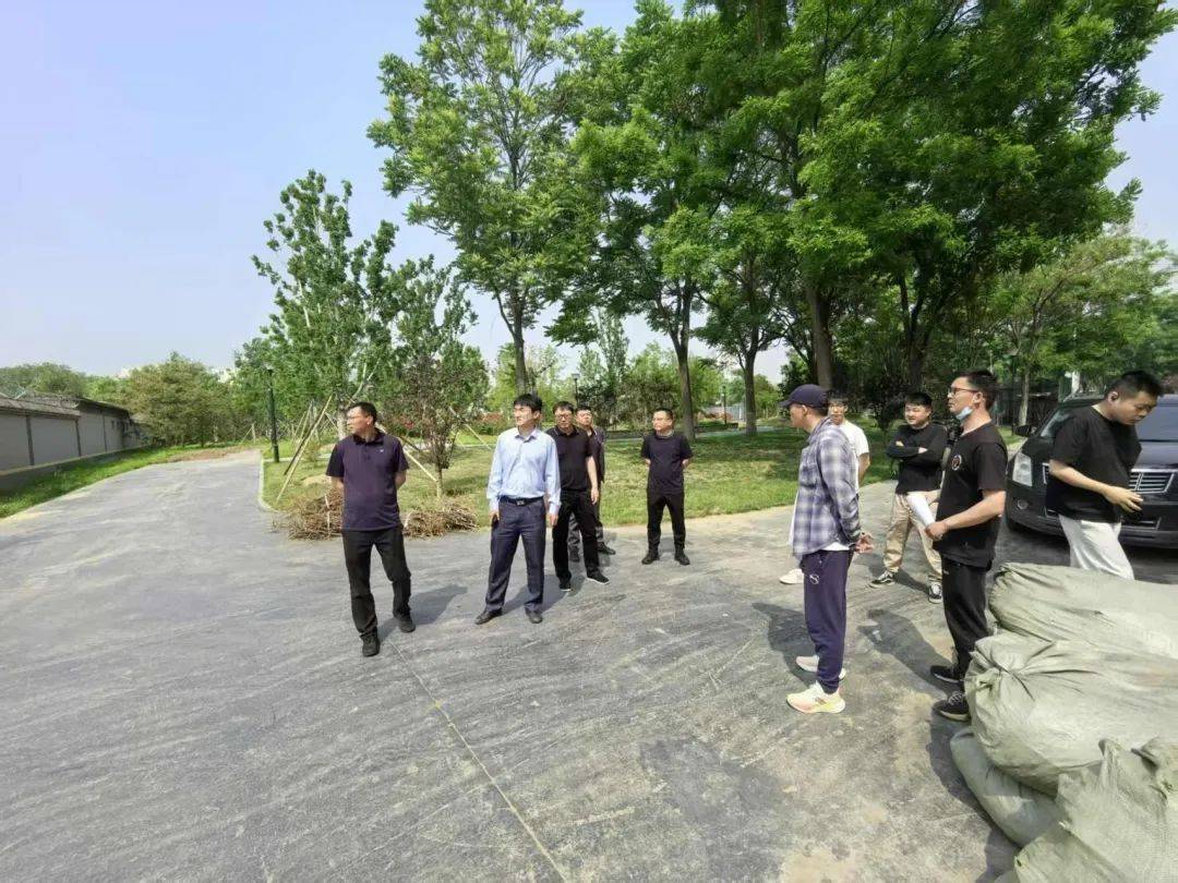 通州區(qū)園林綠化局高效推進(jìn)施養(yǎng)移交工作<strong></p>
<p>園林綠化
</strong>，匠心守護(hù)城市綠色空間:園林綠化
