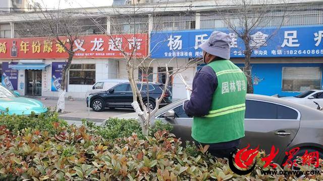 鄆城縣園林綠化服務(wù)中心：春季綠化工作全面展開(kāi) 助力生態(tài)宜居城市建設(shè):園林綠化
